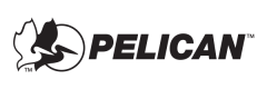 Pelican